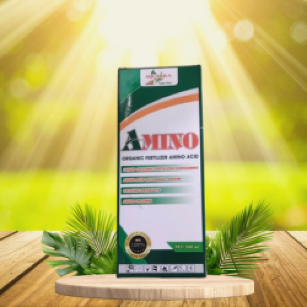 AMINO