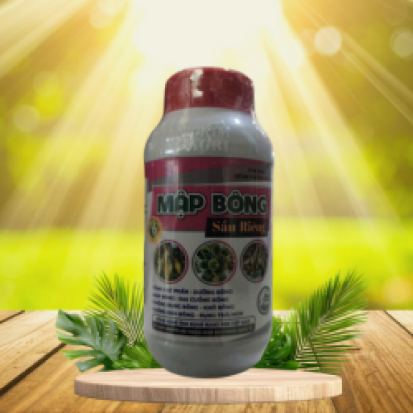 MẬP BÔNG SẦU RIÊNG