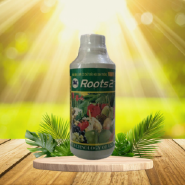 ROOTS2