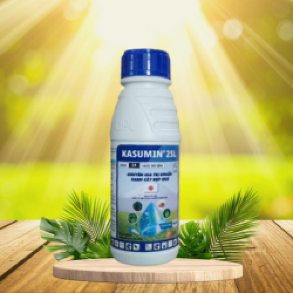 KASUMIN 2SL