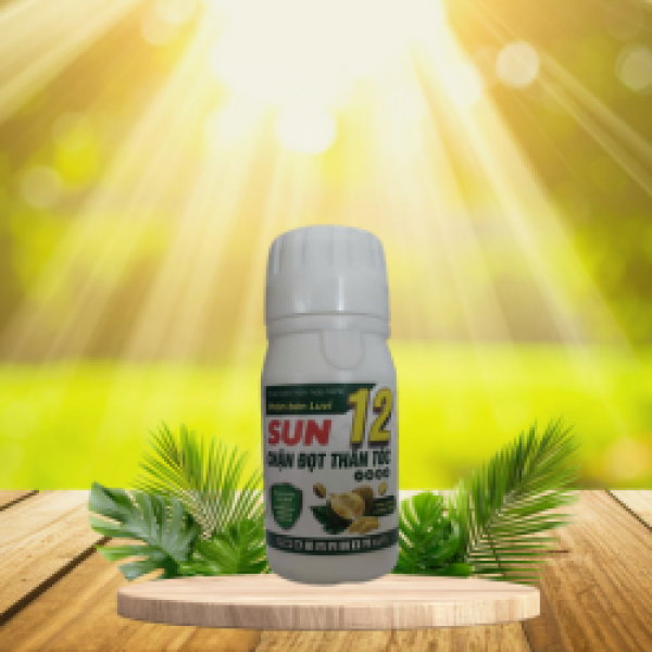 SUN 12
