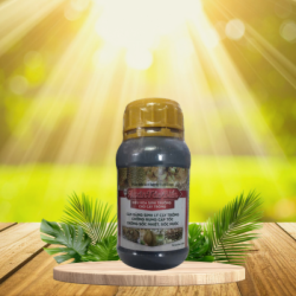 AUXIN TẢO BIỂN