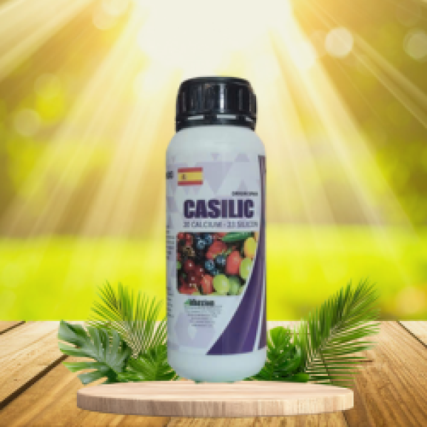 CASILIC
