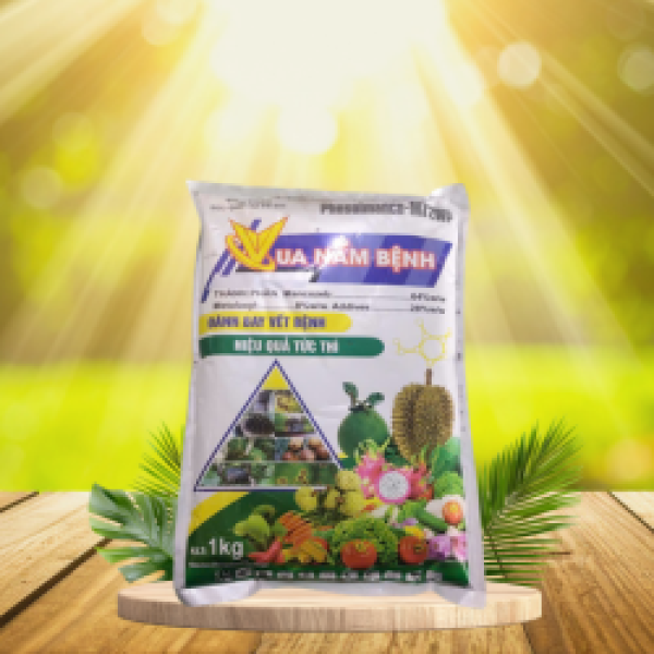 VUA NẤM BỆNH