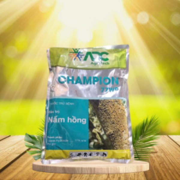 CHAMPION 77WP