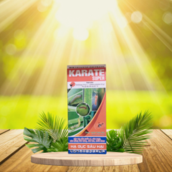 KARATE SUPER