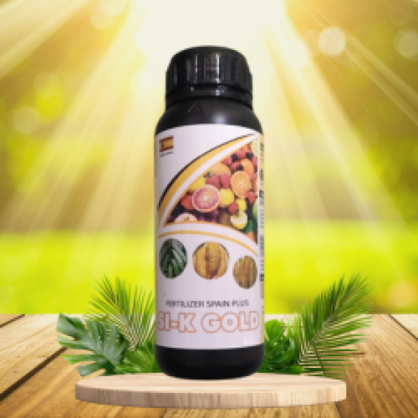 SI-K GOLD