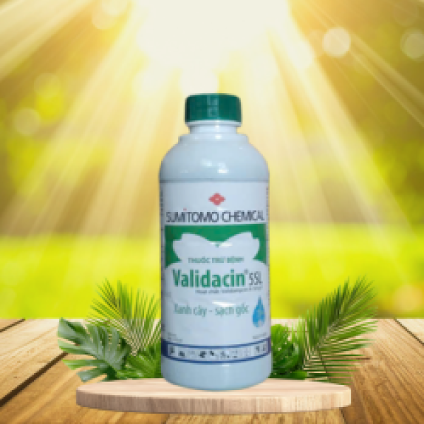 VALIDACIN 5SL