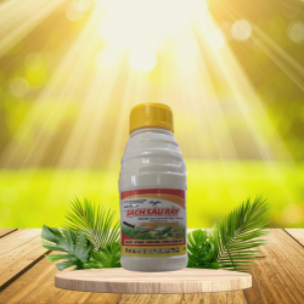 SẠCH SÂU RẦY