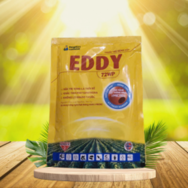 EDDY